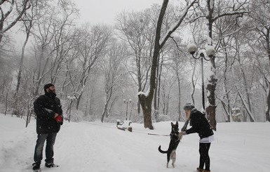 Кличко попросил водителей оставить машины дома