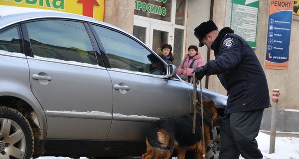 На Львовщине овчарки Кори, Арс, Барс и Тайфун – на страже порядка