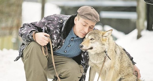 Волк в собачьей шкуре