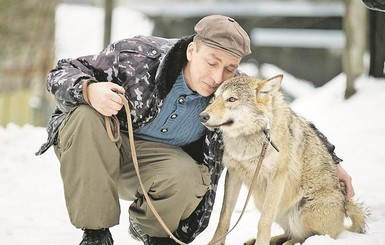 Волк в собачьей шкуре