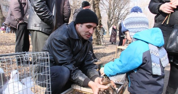 В Запорожской области на выставке птиц 