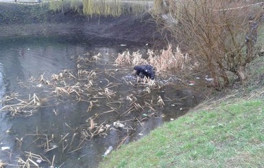 Львовянин нашел на окраине города взрывчатку и выбросил ее в озеро