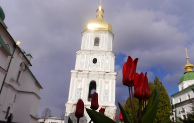 В Киеве распустились первые тюльпаны и нарциссы