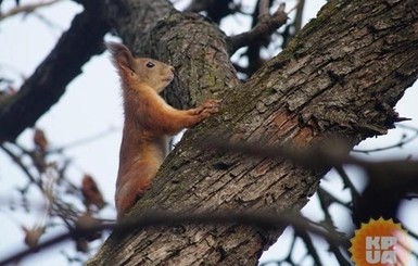 В воскресенье, 5 апреля, ночью морозы, а днем тепло