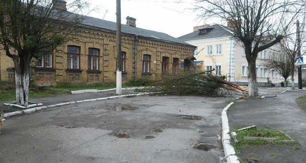 Во Львове падали деревья, а в Хмельницком пронеслась песчаная буря