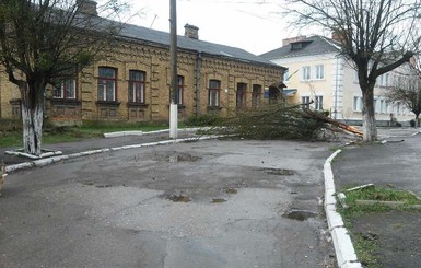 Во Львове падали деревья, а в Хмельницком пронеслась песчаная буря