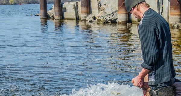 Толстолобик, карп и щука наведут порядок в запорожских водоемах