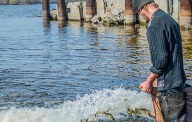 Толстолобик, карп и щука наведут порядок в запорожских водоемах