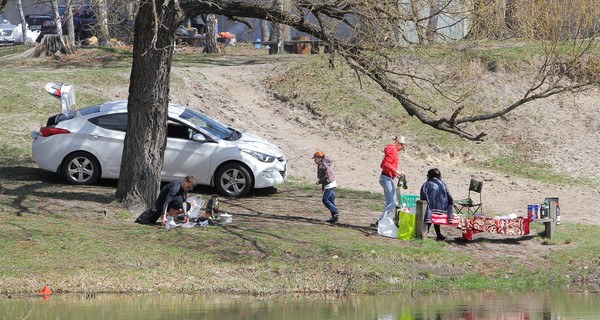 Амур и карп отполируют городские озера