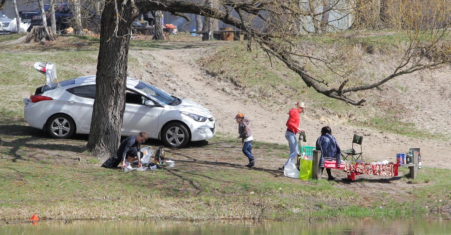 Амур и карп отполируют городские озера