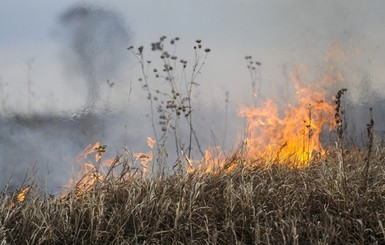 Пожар в Чернобыле не угрожает Киеву, - сотрудники зоны