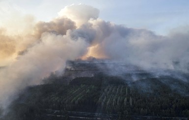 В Чернобыле продолжает гореть трава, кустарники и камыши