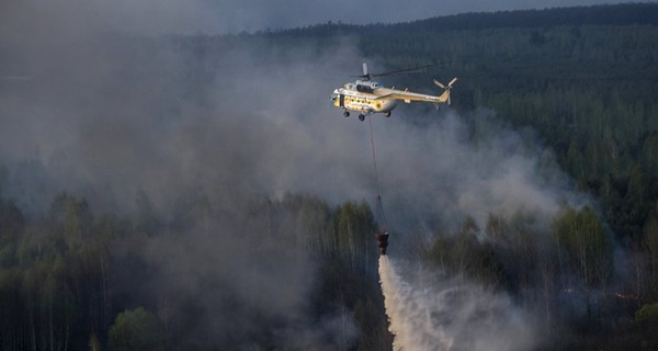 Пожар в Чернобыльской пуще потушили 