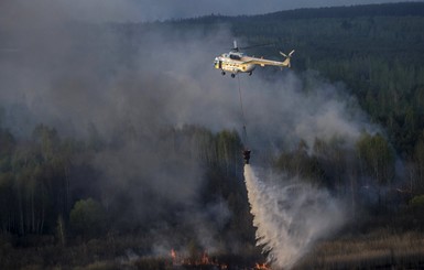 Пожар в Чернобыльской пуще потушили 