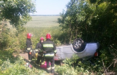 В Киевской области автомобиль с детьми вылетел в кювет