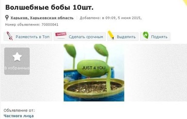 Торгуют всем: украинцы продают ковры-самолеты и волшебные бобы