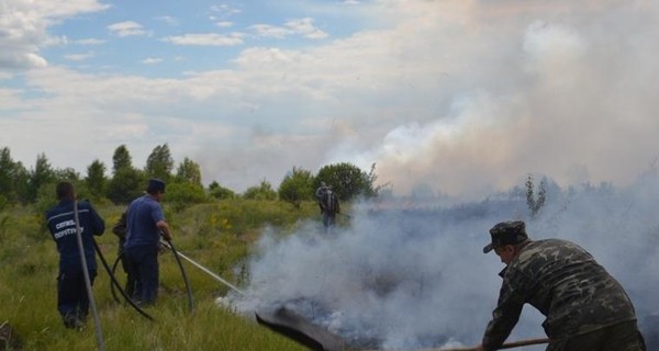 В Чернобыльской зоне уже сутки не могут потушить пожар