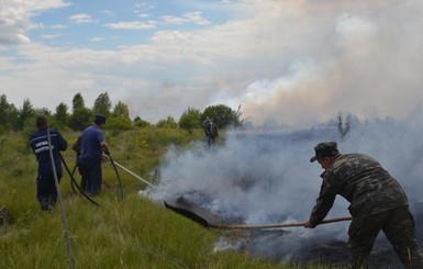 В Чернобыльской зоне уже сутки не могут потушить пожар