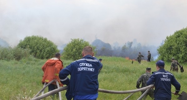 Главный спасатель Украины: пожары в Чернобыльской зоне устраивают специально