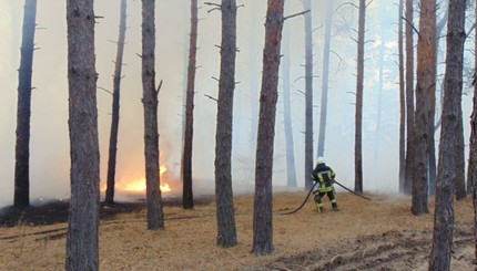 В Луганской области горят леса