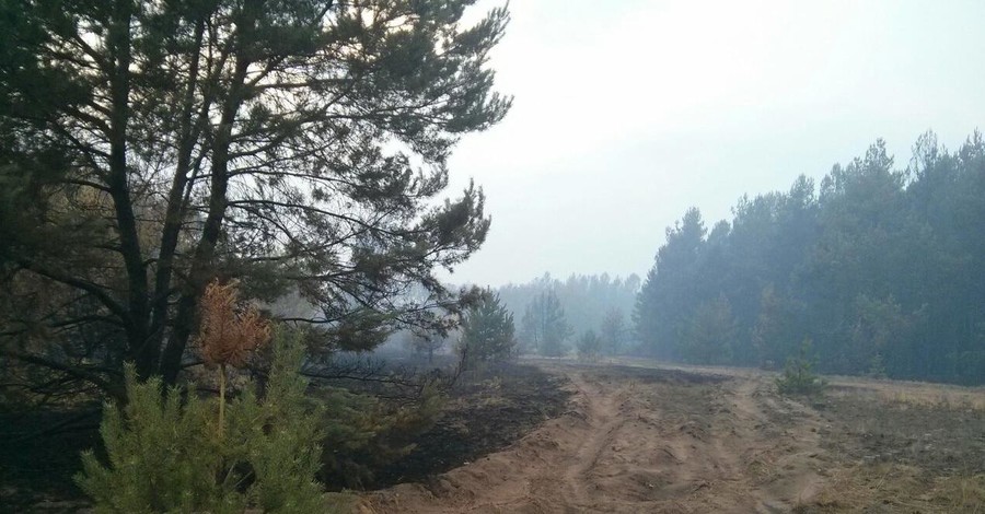 В Киеве развеялся смог, горит всего один торфяник