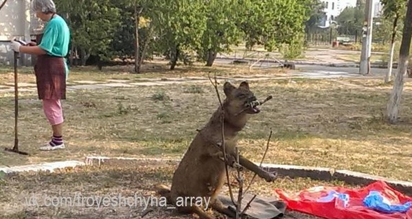 В Киеве на Троещине из собаки сделали чучело и поставили около детской площадки