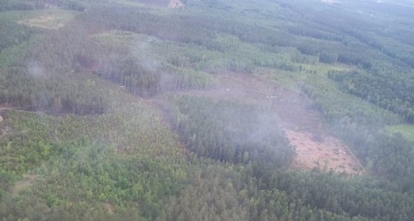 В Житомирской области горят торфяники