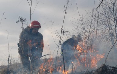 Возле Львова тлеют торфяники