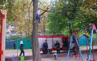 Во Львове спасатели сняли с 4-метрового дерева подростка