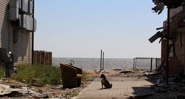 В Луганской области на растяжках подорвались шестеро военных, один погиб