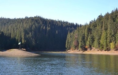 В мутной воде озера Синевир сфотографировали чудище