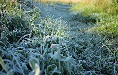 В четверг, 5 ноября, ночью местами морозы