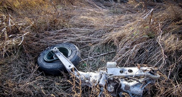 Опубликованы фото с места падения Су-25