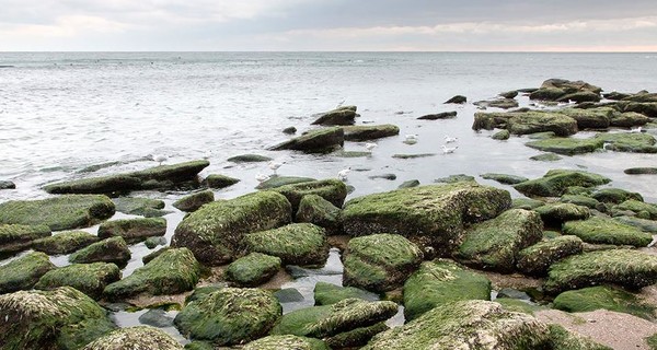 В Одессе исчезла часть моря