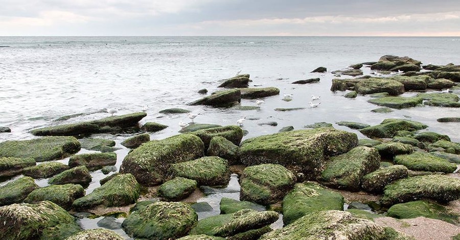 В Одессе исчезла часть моря