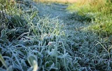 В субботу, 28 ноября, местами ночью до 10 мороза