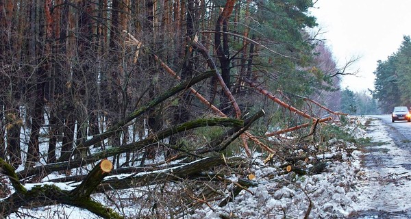 В Харьковской области не могут справиться с последствиями снегопада