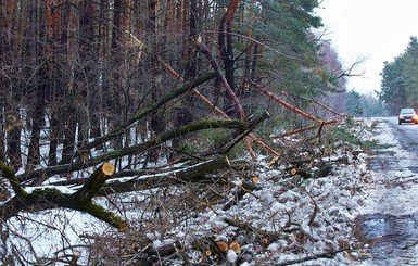 В Харьковской области не могут справиться с последствиями снегопада