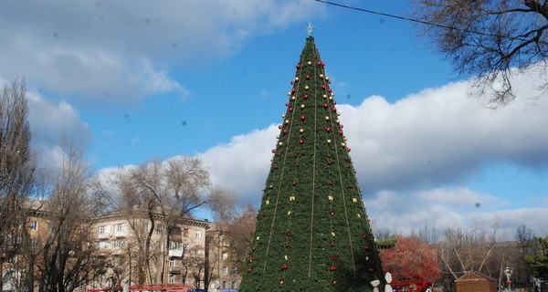 Какими будут главные елки Запорожья?