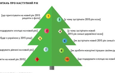 Вопросы украинцев о Новом годе: Что подарить собаке и где найти друга?