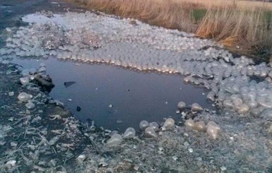 На Львовщине ямы на дороге засыпали электрическими лампочками