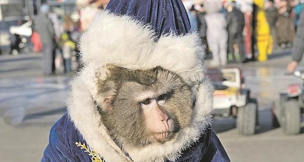 Гороскоп от Павла Глобы: Стрельцам не кашлять и Львам не болеть! 