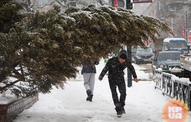 Сегодня днем, 11 января, в Украине пройдет снег