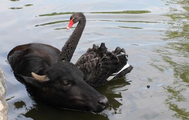 Зверская дружба