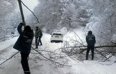 На Закарпатье снегопад валил деревья