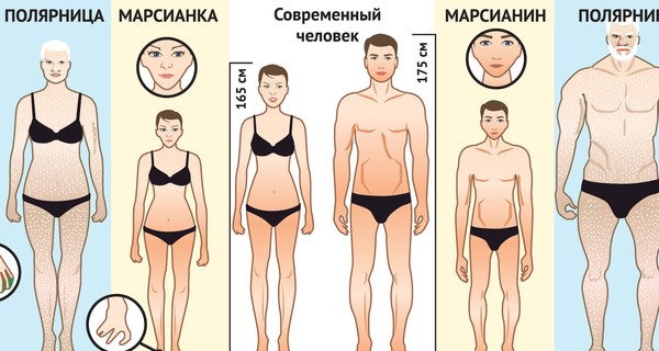 Наши потомки будут чем-то похожи на орангутангов?