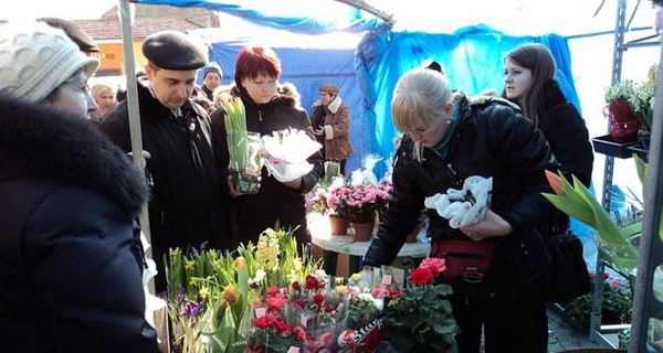 К 8 марта мужчины предпочитают дарить не букеты, а цветочную 