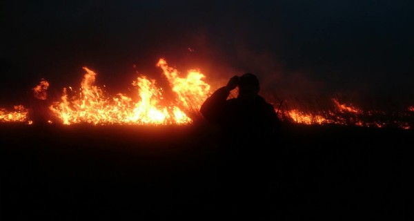 Возле Арена-Львов на площади 400 метров квадратных горит трава.