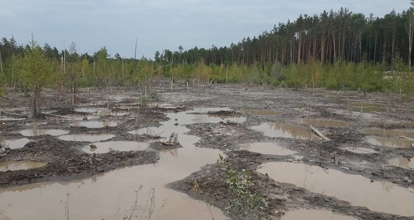 На Ровенщине на борьбу с янтарным промыслом отправили беспилотники