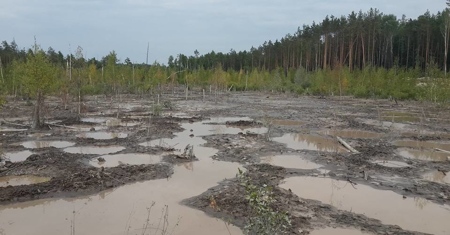 На Ровенщине на борьбу с янтарным промыслом отправили беспилотники